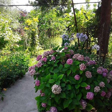 New Athos Zeleniy Dvorik Guest House מראה חיצוני תמונה