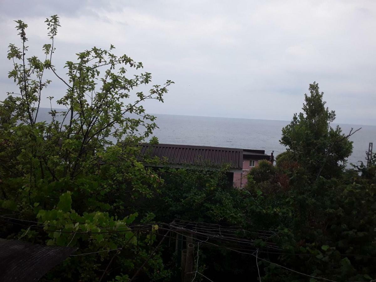 New Athos Zeleniy Dvorik Guest House מראה חיצוני תמונה